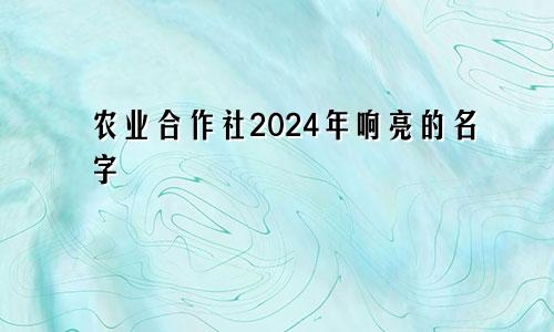 农业合作社2024年响亮的名字(图1)