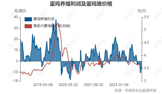 生猪养殖利润21元头繁育利润136元头肉牛、蛋鸡、肉鸡更多品种尽在农业一周算大账（2024年3月25日）(图8)