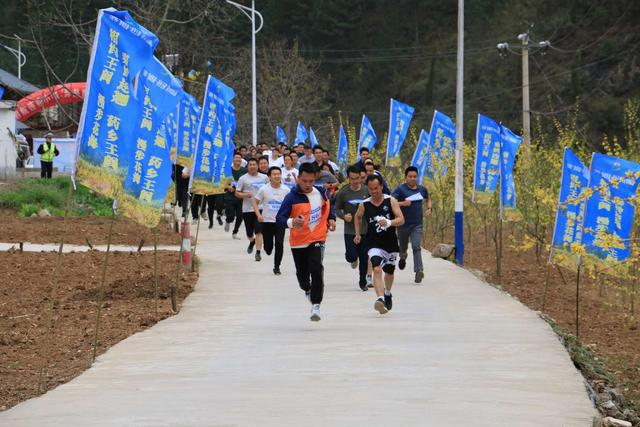 山阳县王阎镇举办2024年“秦岭连翘·药乡王阎”花季月活动(图2)