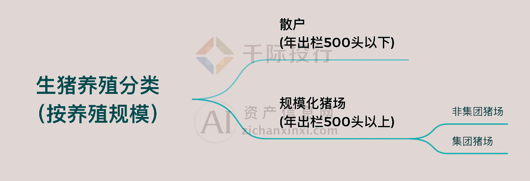 2024年中国生猪养殖行业研究报告(图1)