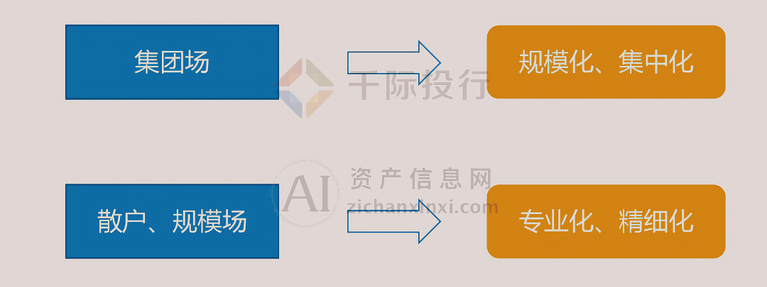 2024年中国生猪养殖行业研究报告(图6)