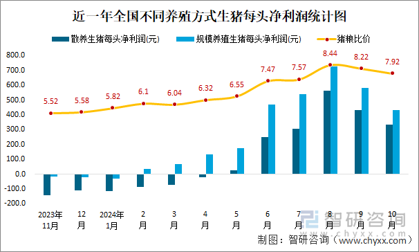 2024年10月生猪养殖数据分析：全国散养生猪和规模养殖每头净利润分别为334元和434元(图2)