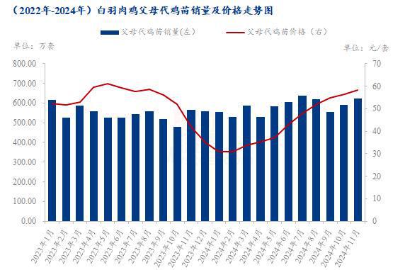 Mysteel解读：2024年白羽父母代鸡苗销量可观2025年商品苗市场或迎挑战(图2)