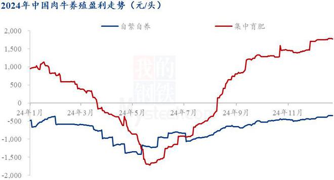 Mysteel解读：2024年肉牛养殖市场情况回顾(图3)