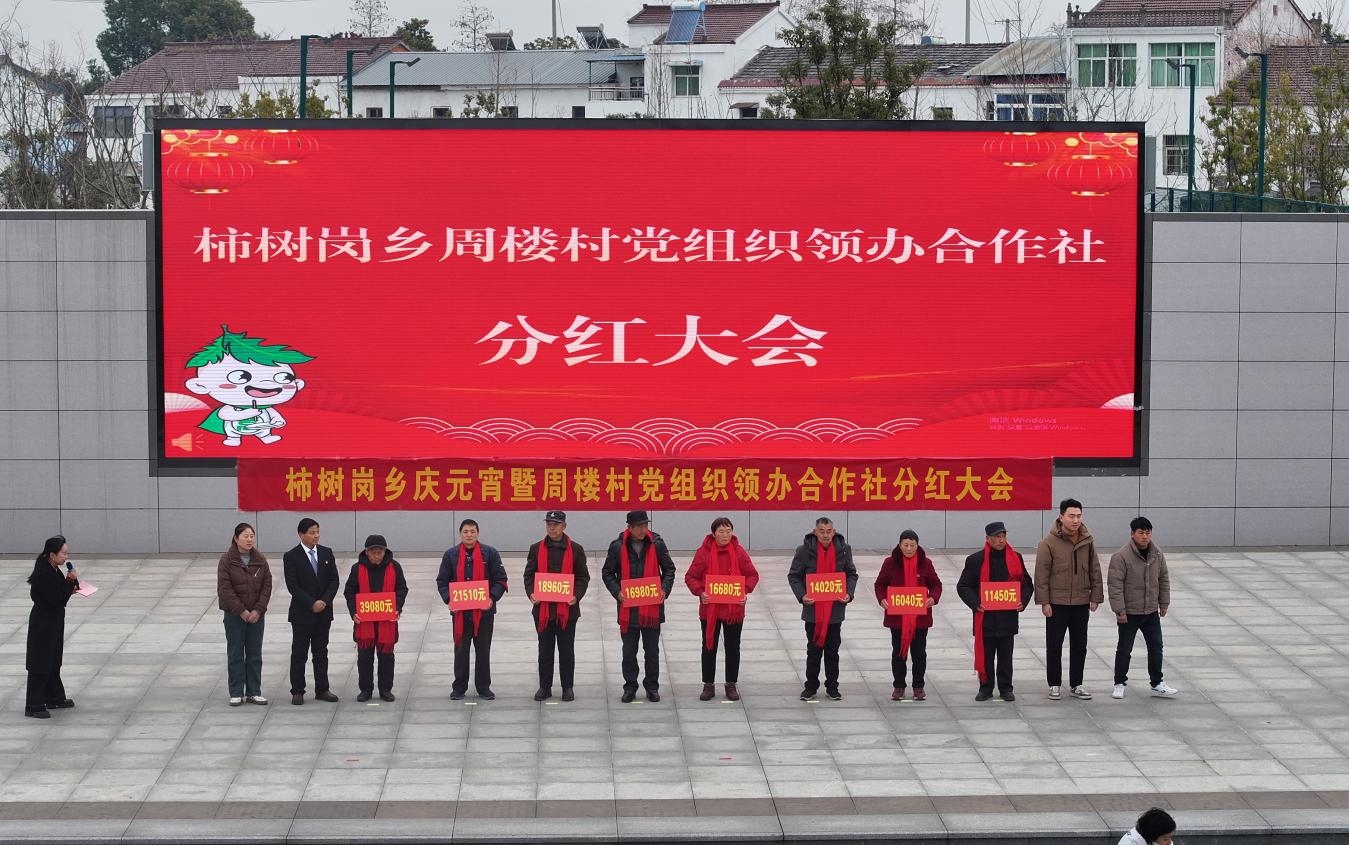 肥西县柿树岗乡举办“春风送岗”庆元宵暨周楼村党组织领办合作社分红大会(图2)