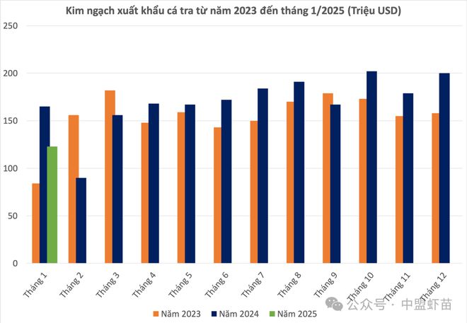 VASEP：2024年虾行业面临一波困难！2025年是否会重蹈覆辙？(图2)