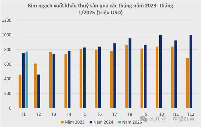 VASEP：2024年虾行业面临一波困难！2025年是否会重蹈覆辙？(图1)